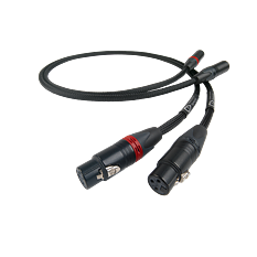 Signature X Tuned ARAY Analogue XLR