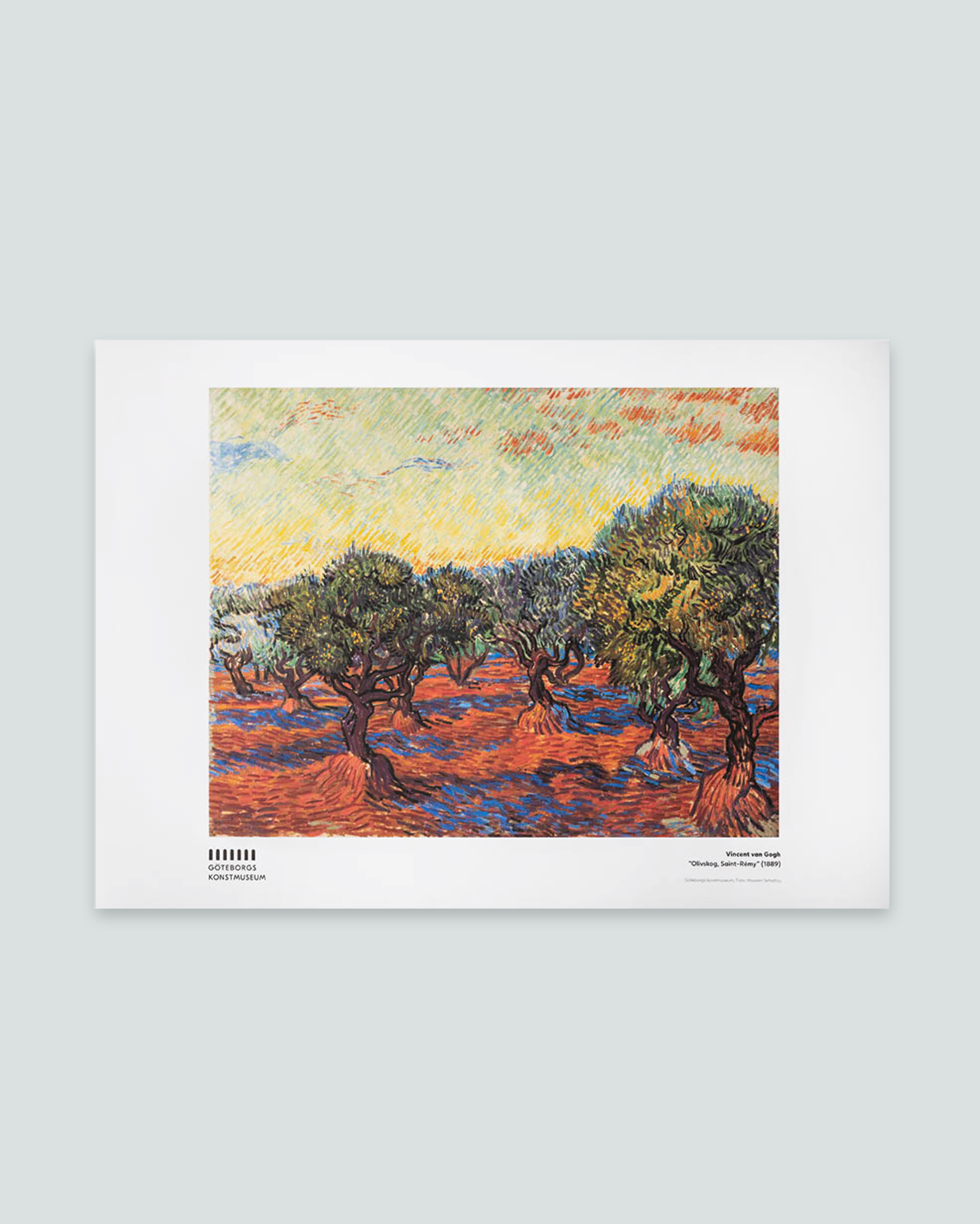 Affisch, Vincent van Gogh, Olivskog, Saint-Rémy