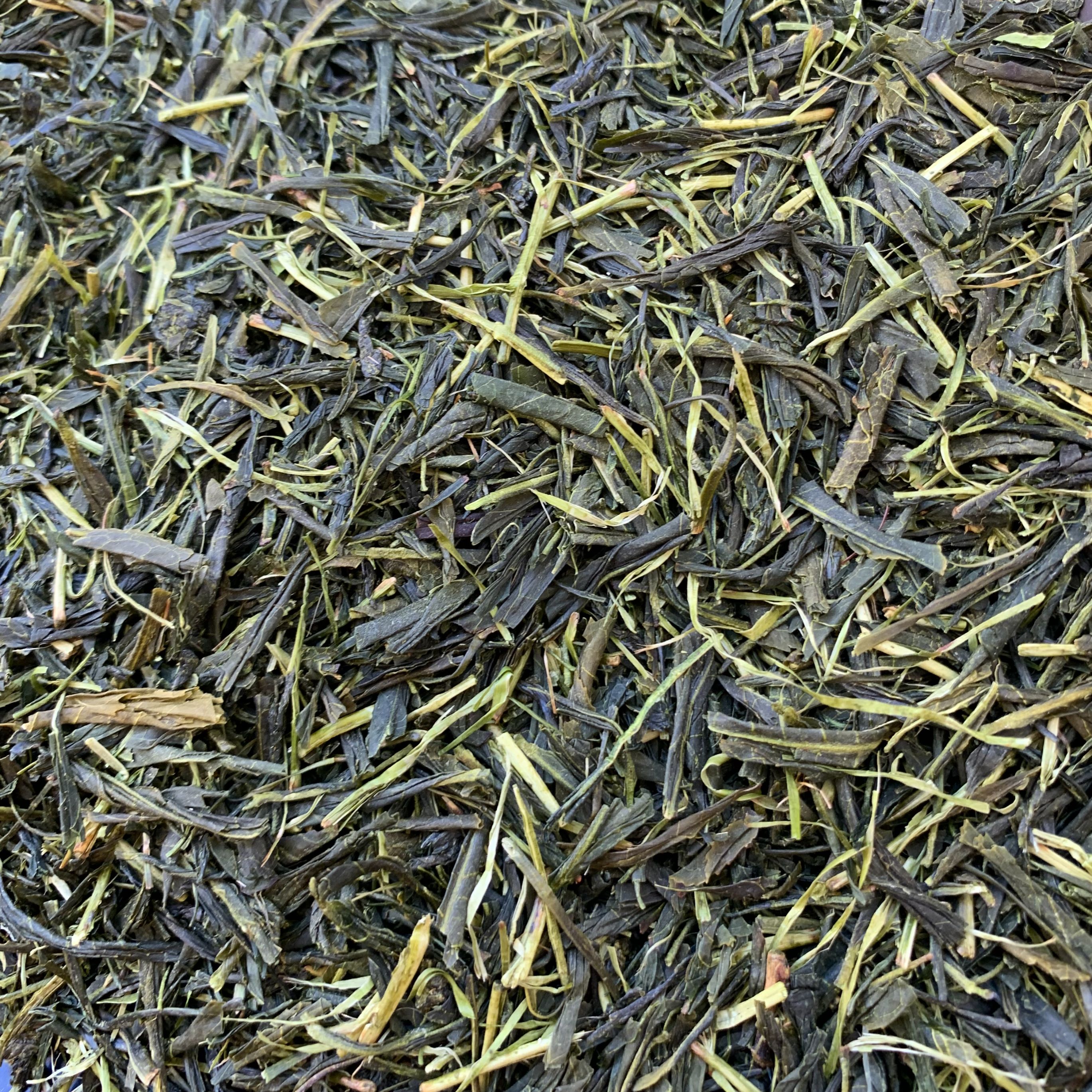 KRAV sencha aoyagi [Mie] 