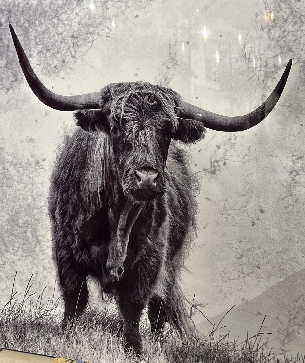 Tavla / Aluminium / Wild Yak