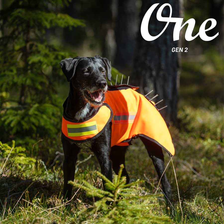 Dogtech One Gen2 Grundväst Gul - 6