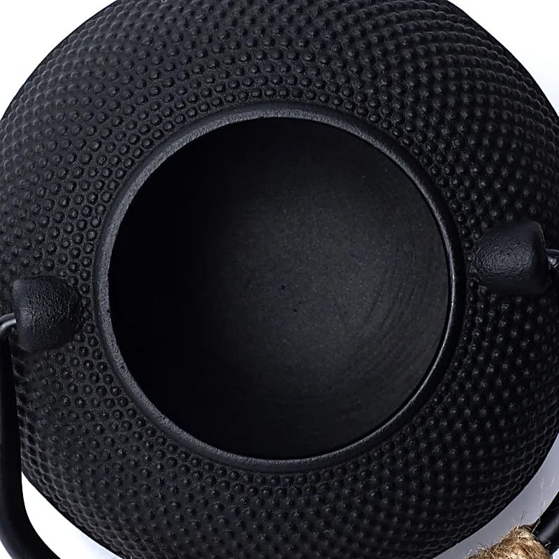 Tetsubin cast iron 0,6 liter teapot black (uncoated) - 4