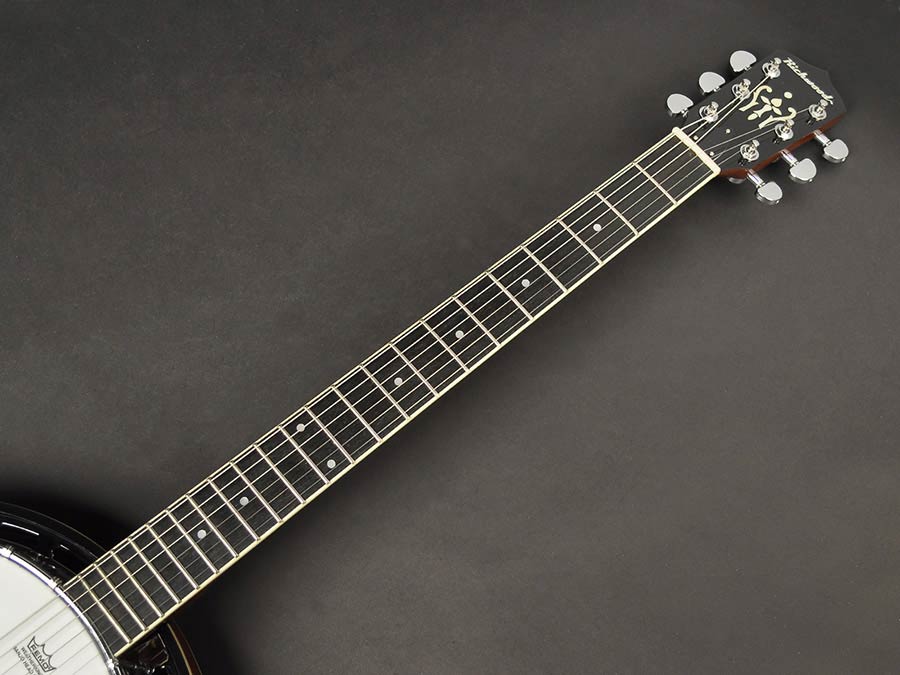 Richwood Master Series guitar banjo 6-string RMB-606 - 8