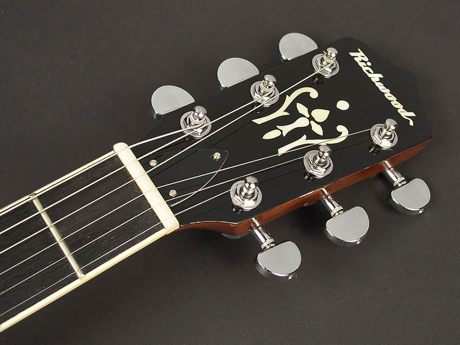 Richwood Master Series guitar banjo 6-string RMB-606 - 4