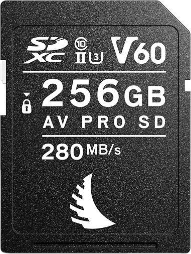 Angelbird AV PRO SD MK2 256GB V60  Memorycard - 2