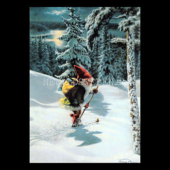 På skidor - Anders Olsson - 907