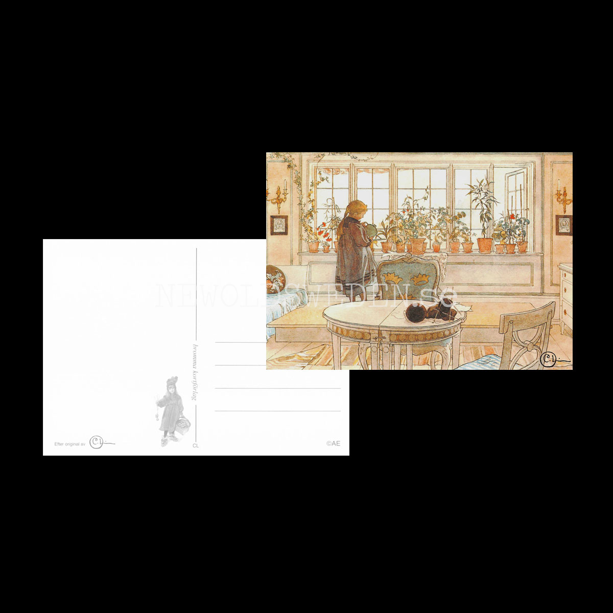 Blomsterfönstret - Carl Larsson - 907 - 3