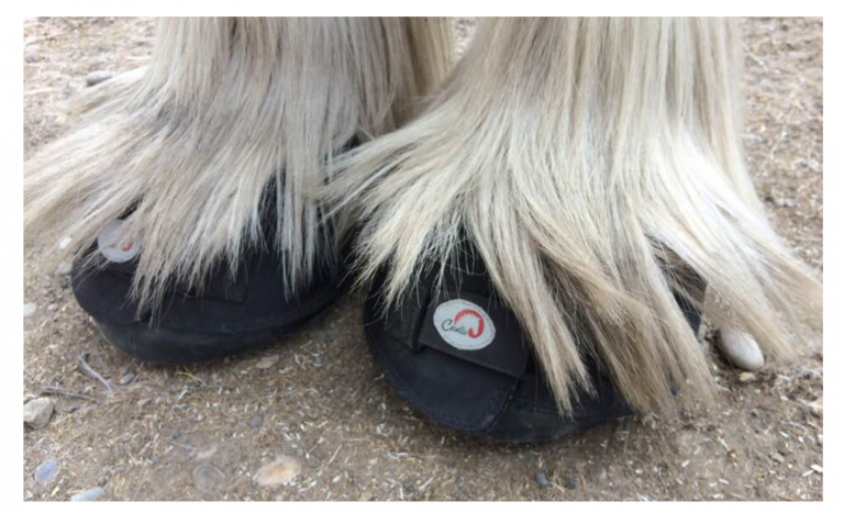 Cavallo Big Foot  Boot - 5