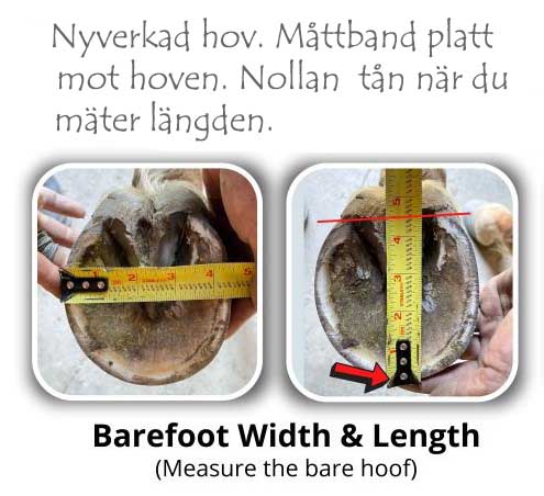 Cavallo Big Foot  Boot - 6