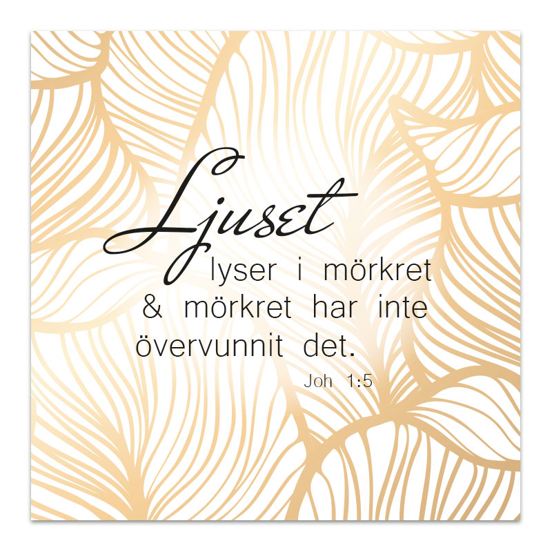 Magnet - Ljuset lyser i mörkret   BM26