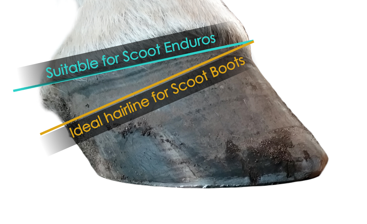 Scootboot Adjust  - 7