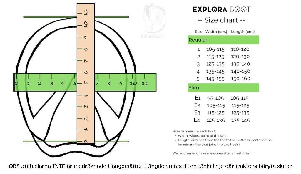 Explora Magic - 3