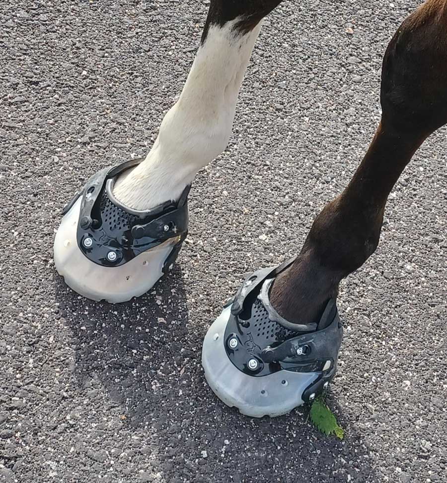 Floating  Sport Boot - 4
