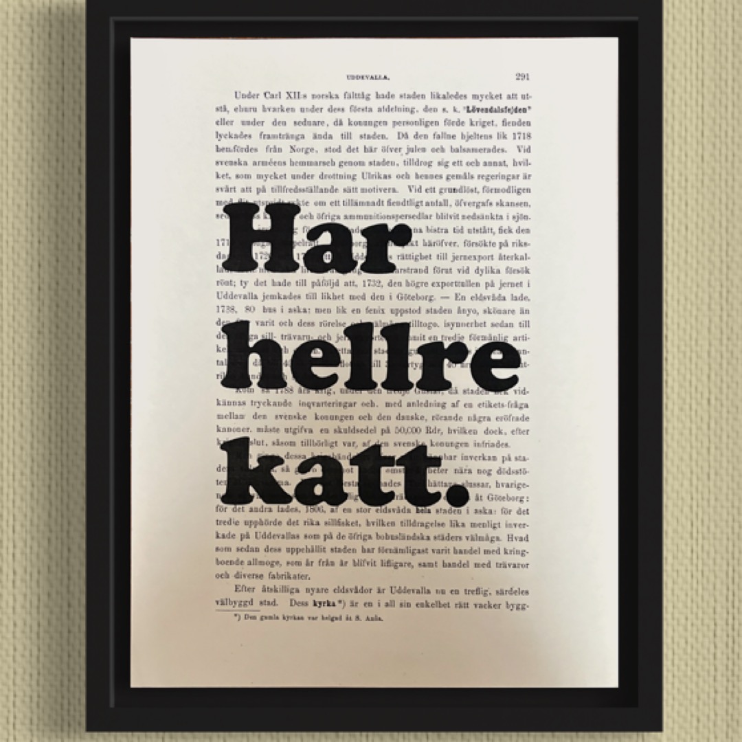 Tavla med texten Har hellre katt.