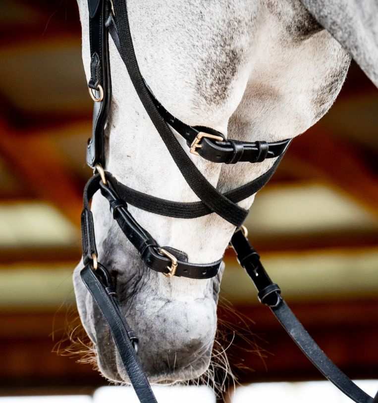 Horseware Micklem 2 Multi Suitset - Musta - 3