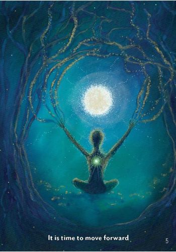 The Healing Spirits Oracle  - A 48-Card Deck and Guidebook Gordon Smith - 3