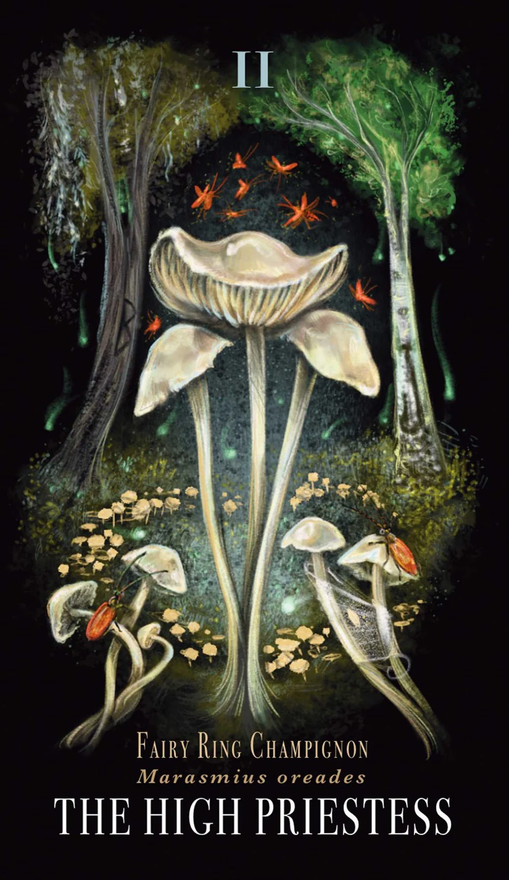 Midnight Magic, The Mushroom Tarot Deck  - Sara Richard - 3
