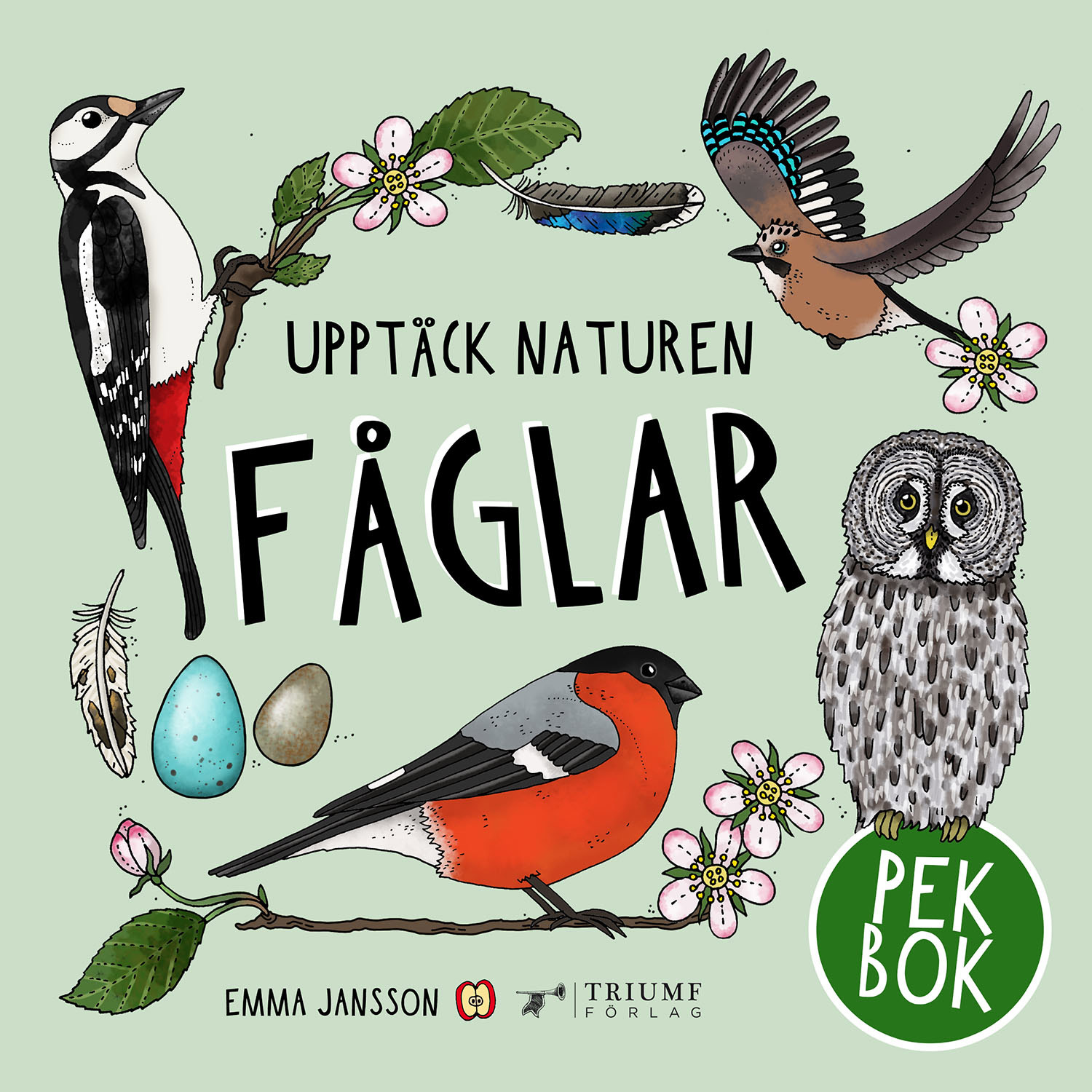 Upptäck naturen Fåglar - Babynord