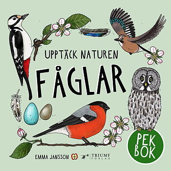 Upptäck naturen Fåglar - Babynord
