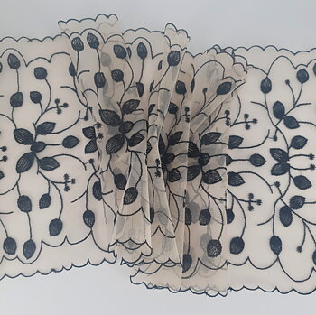 Light beige mesh lace with black trim & edges - 21 cm