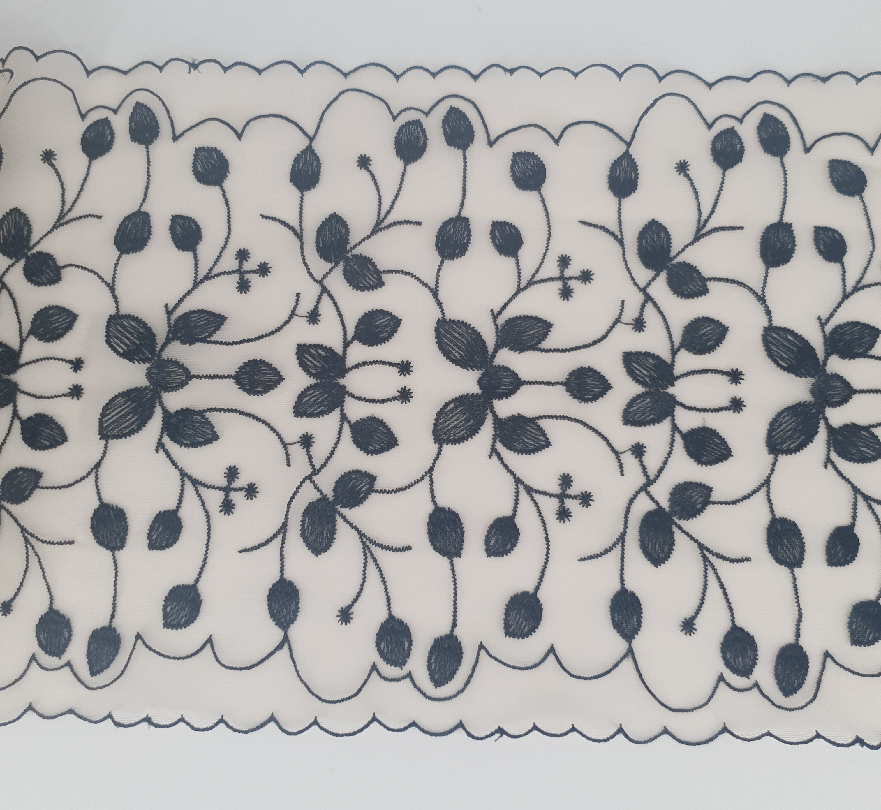 Light beige mesh lace with black trim & edges - 21 cm
