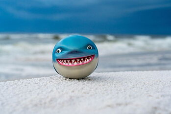 Waboba sharky shark