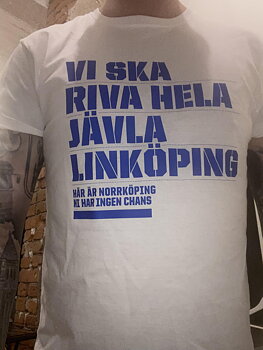 Vi ska riva hela jävla Linköping - T-shirt (Säljs till förmån för P.T.G.)