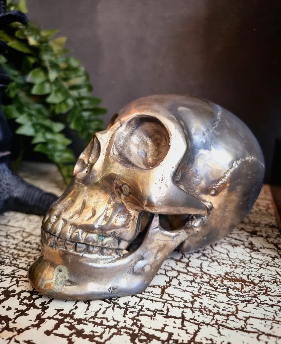Skull Dekoration - Försilvrat Brons - 3
