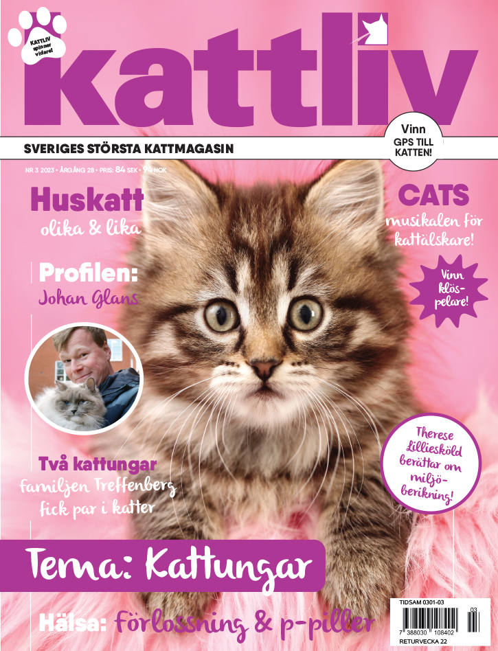 Lösnummer 3/2023