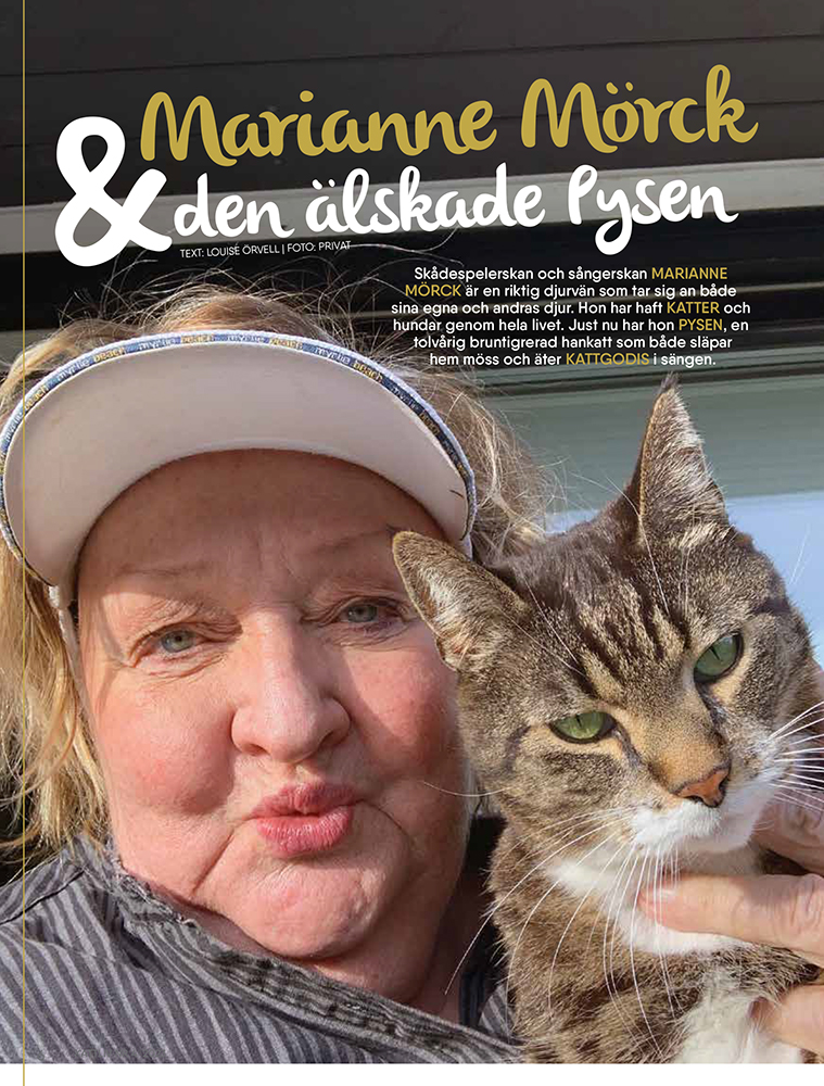 Lösnummer 4/2023 - 2