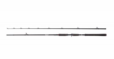 Abu Garcia Beast Pike 