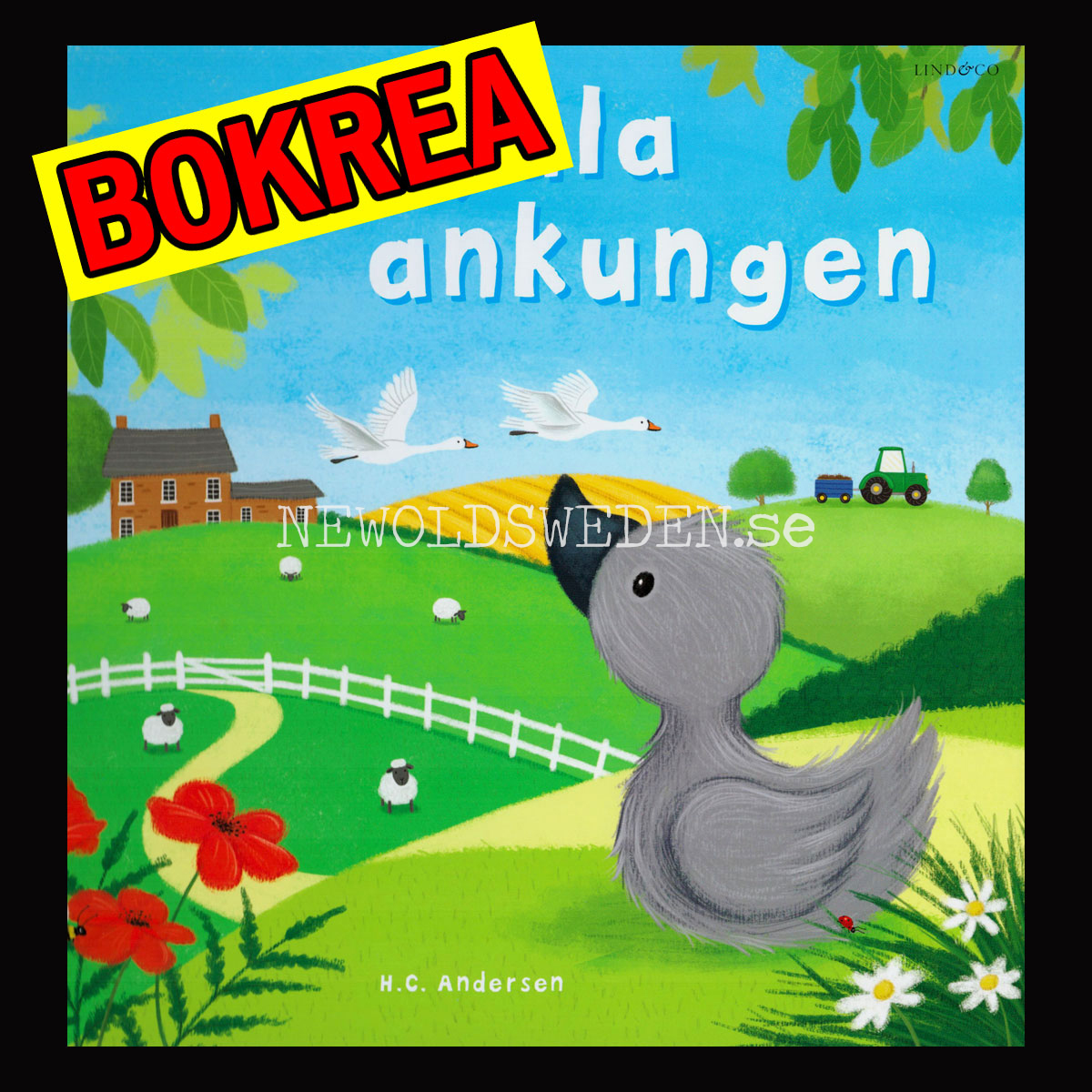 Den fula ankungen - H.C. Andersen - H12
