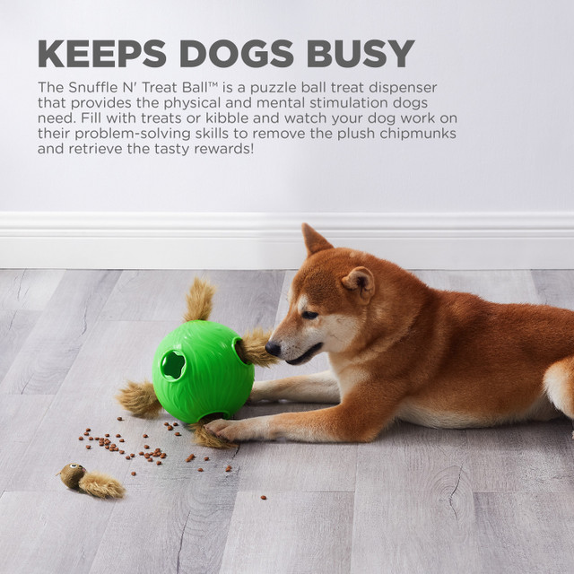Dog Snuffle N' Treat Ball Puzzle, Grön av Nina Ottosson - 4