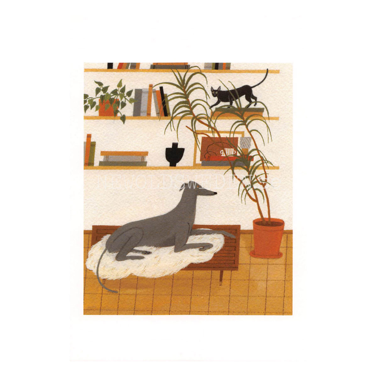 Greyhound and Cornish Rex 2020- Yelena Bryksenkova - Postcard A6 - 1608 - 2