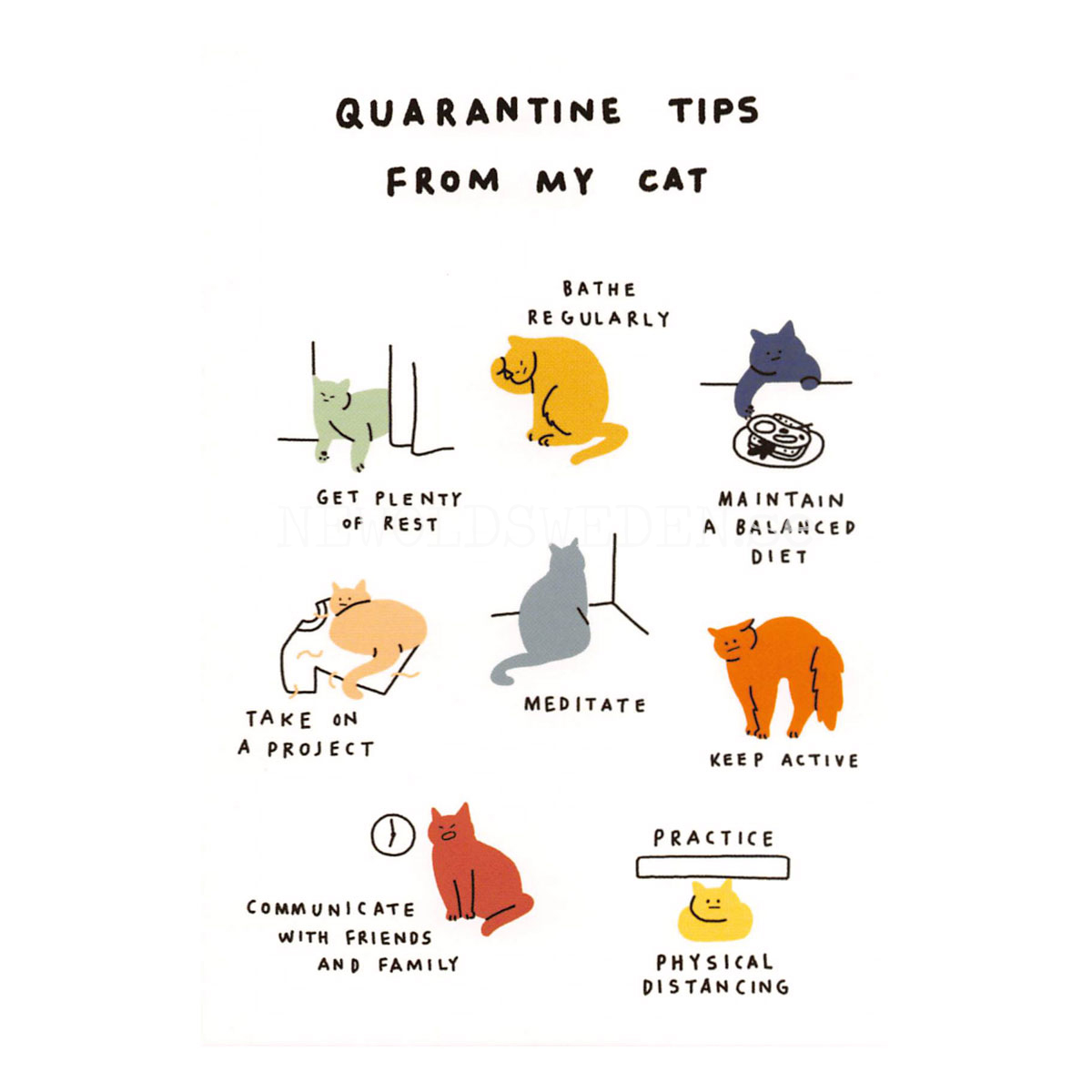 Quarantine Tips From My Cat 2020 - Bono Kim - Postcard A6 - 1608 - 2