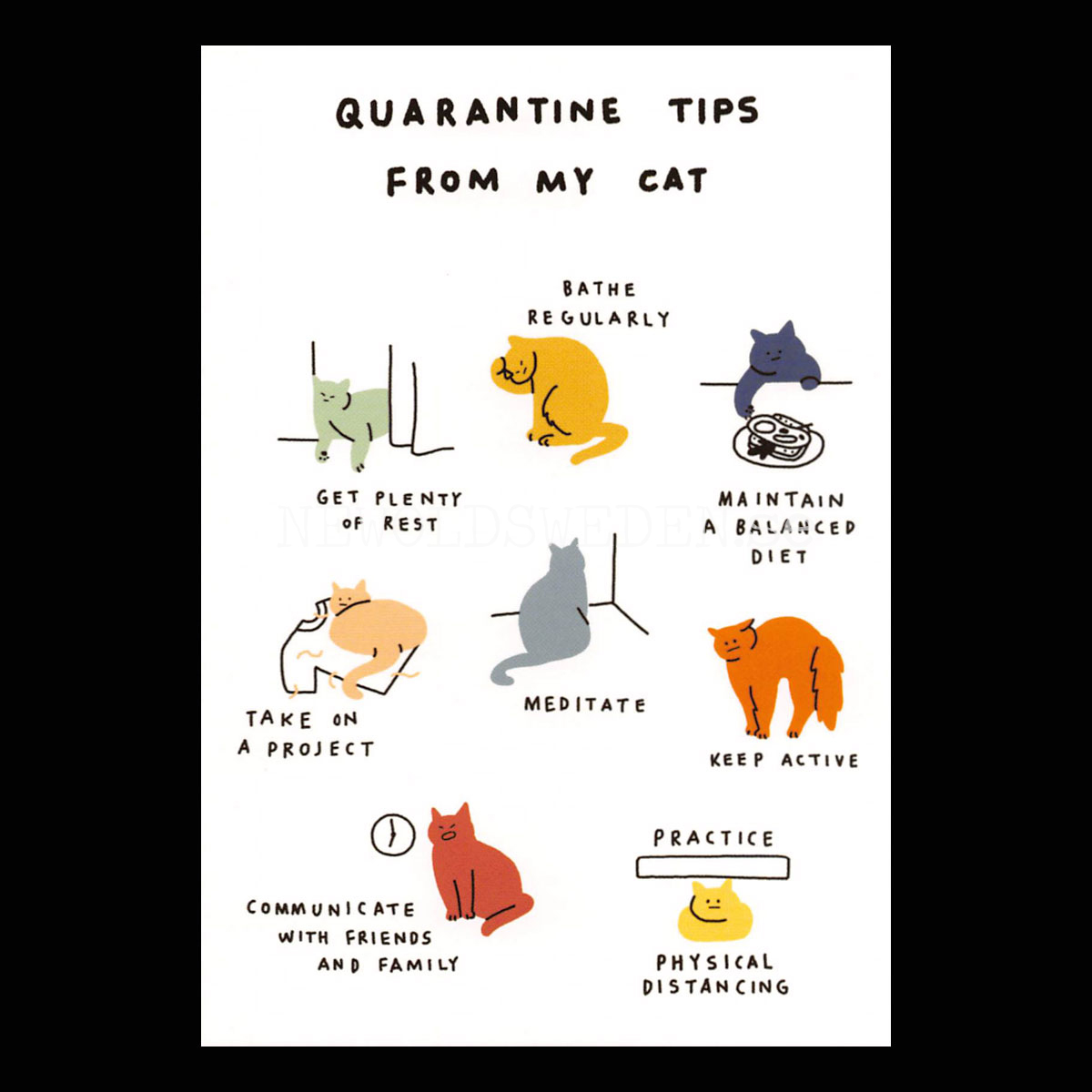 Quarantine Tips From My Cat 2020 - Bono Kim - Postcard A6 - 1608
