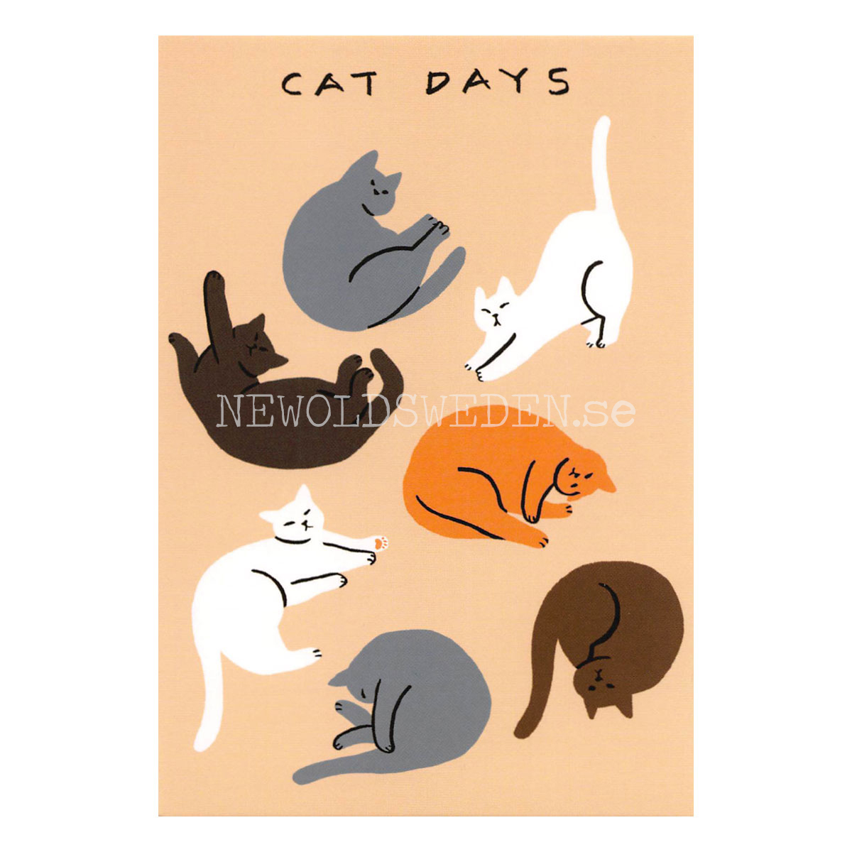 Cat Days 2019 - Bono Kim - Postcard A6 - 1608 - 2
