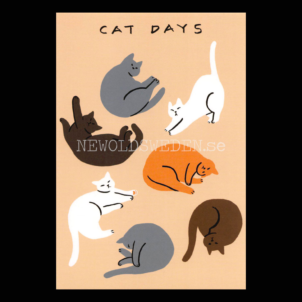 Cat Days 2019 - Bono Kim - Postcard A6 - 1608