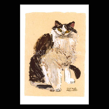 Island Cat 2 2017 - mirocomachiko - Postcard A6 - 1608