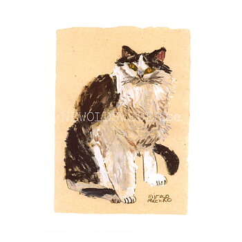 Island Cat 2 2017 - mirocomachiko - Postcard A6 - 1608
