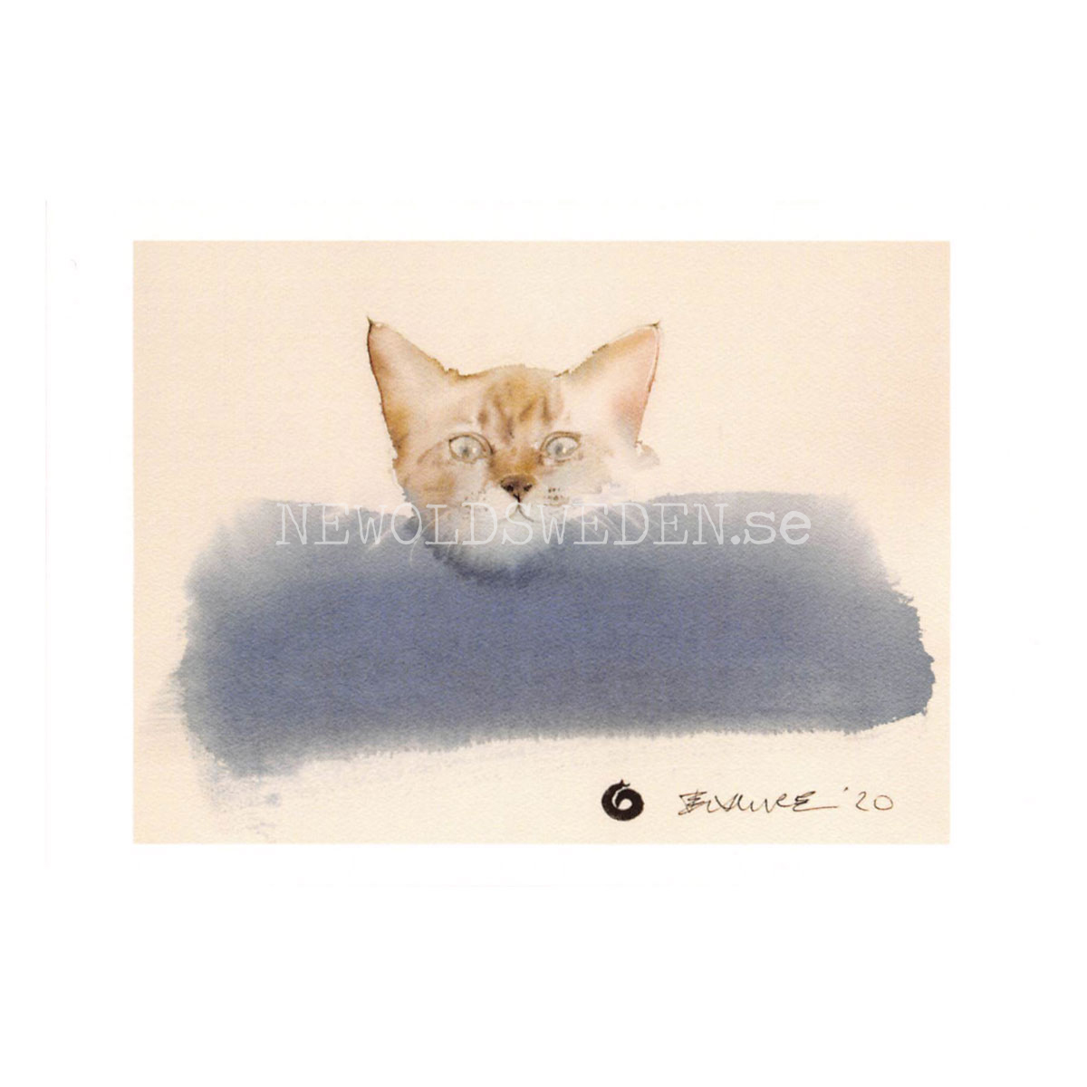 My Blue Pillow 2020 - Endre Penovac - Postcard A6 - 1608 - 2