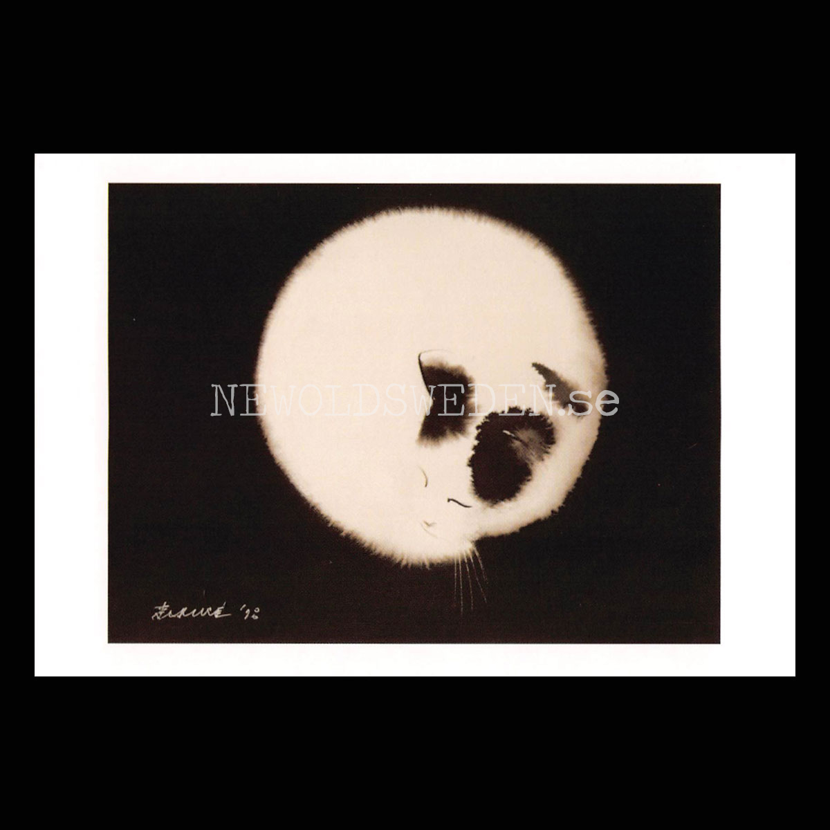 Full Moon 2018 - Endre Penovac - Postcard A6 - 1608