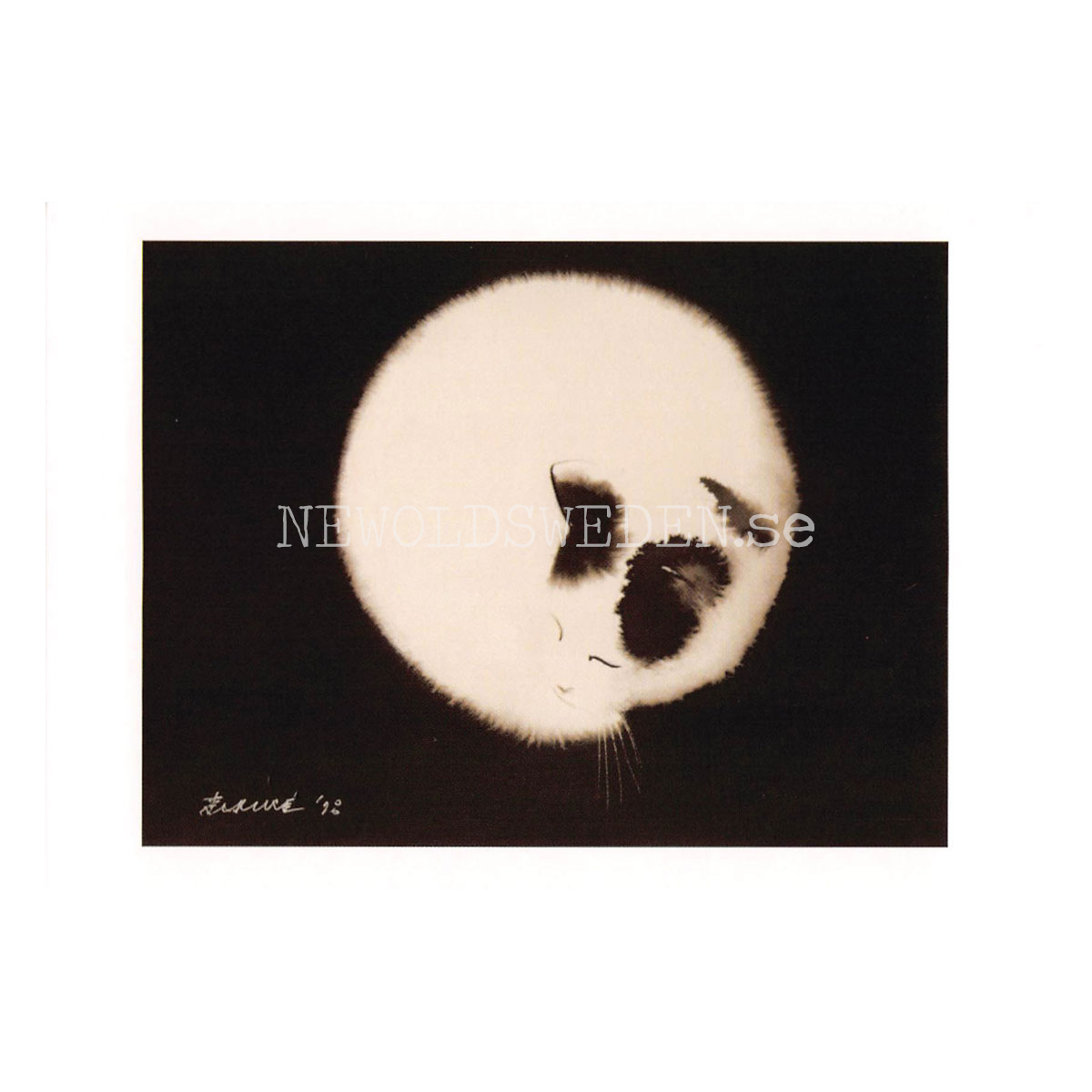 Full Moon 2018 - Endre Penovac - Postcard A6 - 1608 - 2