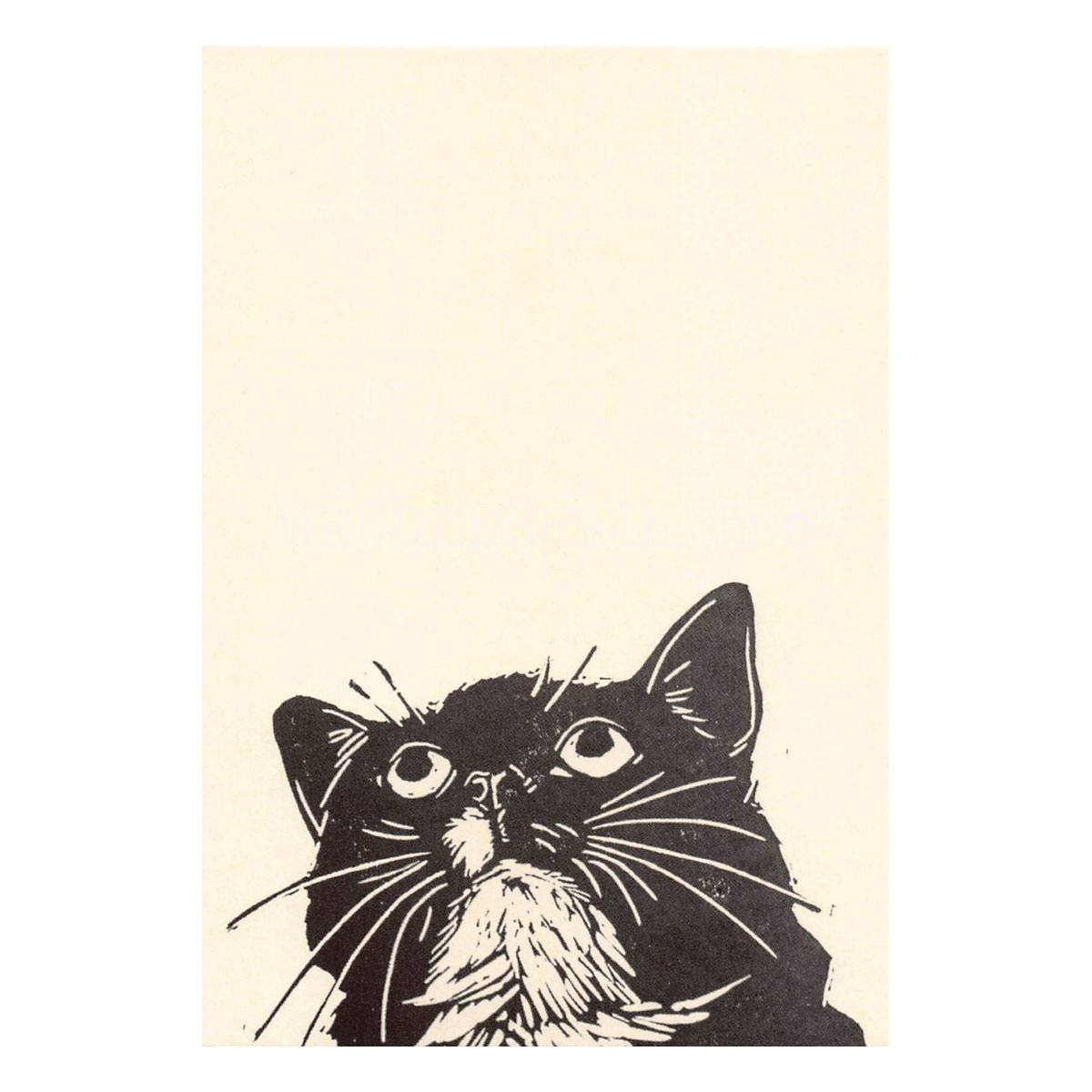 Look 2020 - Tabitha Whitley - Postcard A6 - 1608 - 2
