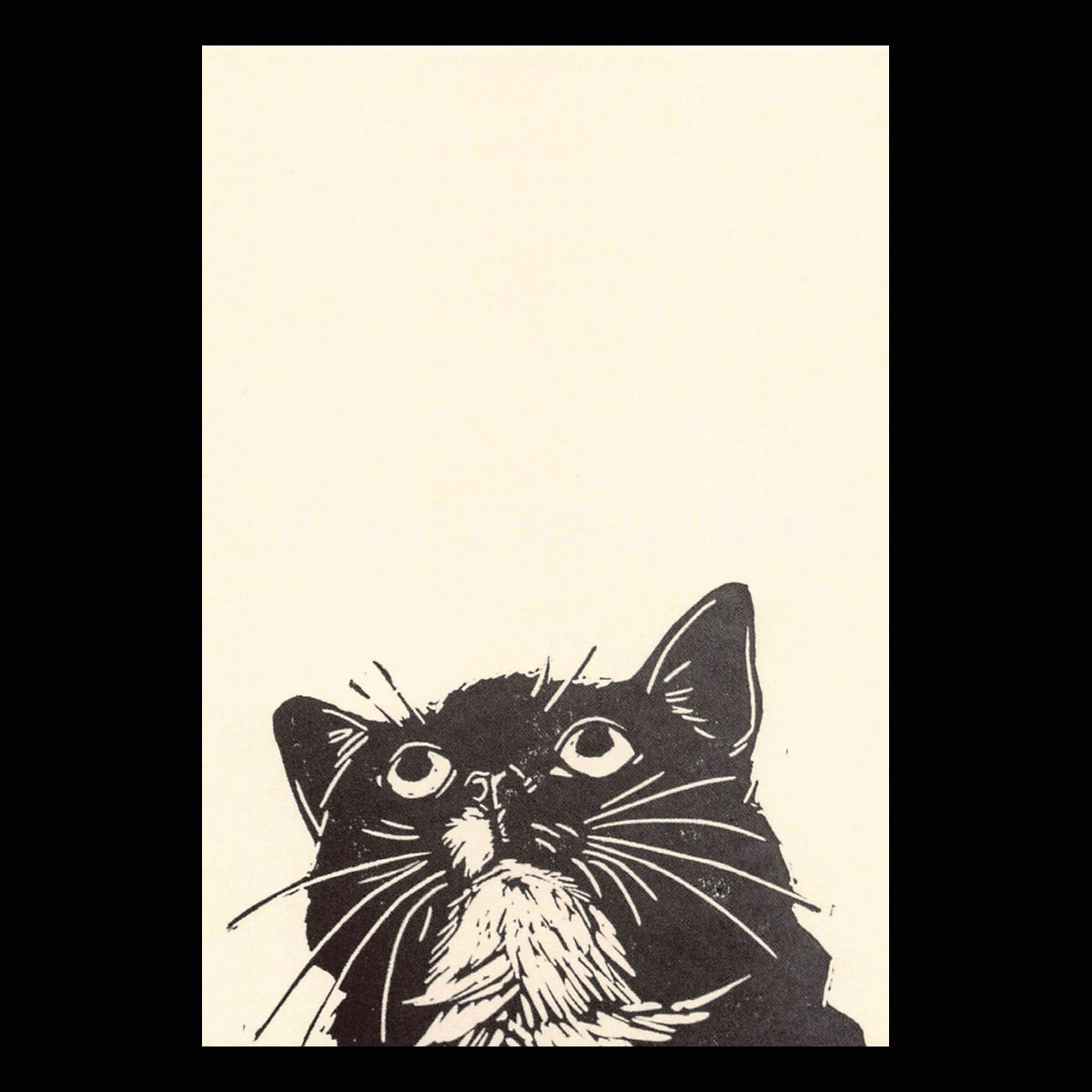Look 2020 - Tabitha Whitley - Postcard A6 - 1608