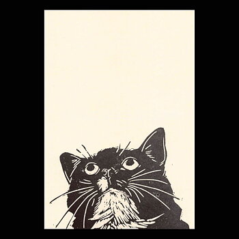 Look 2020 - Tabitha Whitley - Postcard A6 - 1608