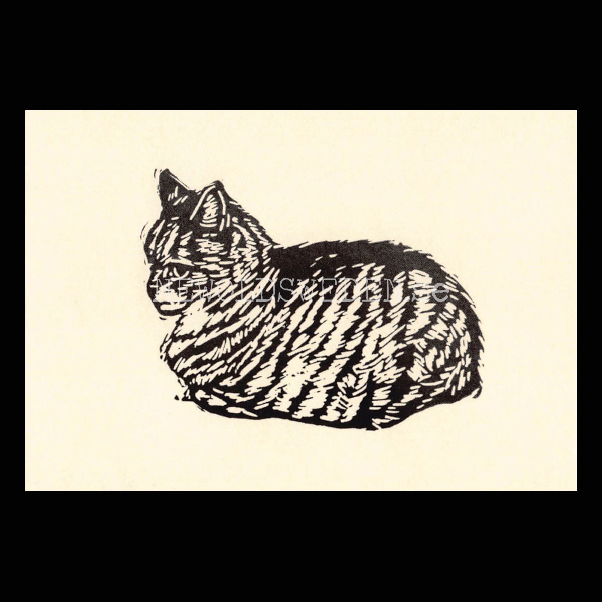 Grumpy 2020 - Tabitha Whitley - Postcard A6 - 1608