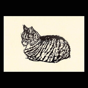 Grumpy 2020 - Tabitha Whitley - Postcard A6 - 1608