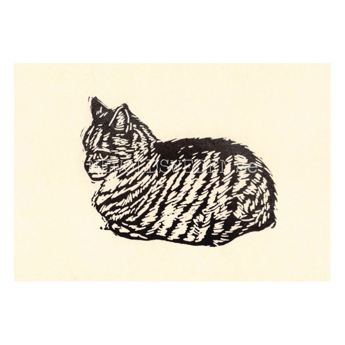 Grumpy 2020 - Tabitha Whitley - Postcard A6 - 1608 - 2