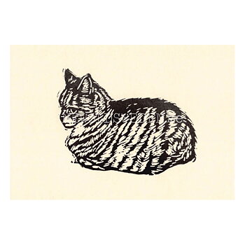 Grumpy 2020 - Tabitha Whitley - Postcard A6 - 1608